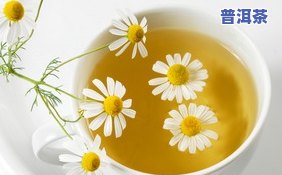 菊花配什么茶叶好喝-菊花配什么茶叶好喝一点