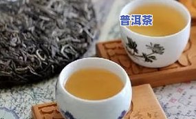 不苦的普洱茶叶叫什么茶-不苦的普洱茶叶叫什么茶名