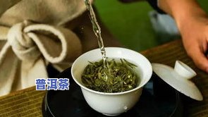 茶叶要怎么泡才好喝视频教程详解