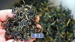 普洱茶蒲公英茶-普洱茶蒲公英茶一块喝