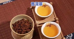 什么茶叶既耐泡又好喝又健康？这里有答案！