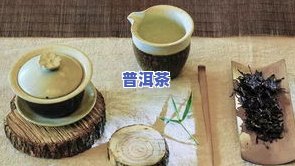 茶什么季节喝什么茶？熟悉不同季节的更佳饮茶选择