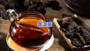 普洱茶茶香，品味古韵：探寻普洱茶的茶香世界