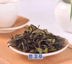 普洱茶与白茶价格比较：哪个更贵？