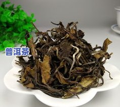 普洱茶与白茶价格比较：哪个更贵？