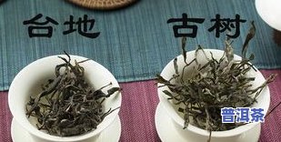 大树茶是普洱茶-大树茶是普洱茶吗