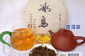 冰岛普洱茶冲泡视频教程-冰岛普洱茶冲泡视频教程