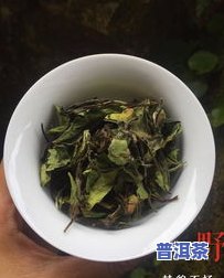 老白茶和普洱茶区别功效-老白茶和普洱茶区别功效一样吗