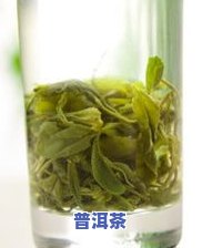 老白茶和普洱茶区别功效-老白茶和普洱茶区别功效一样吗