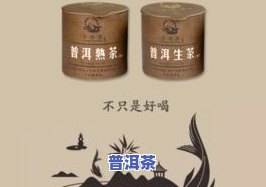 有关普洱茶的讲解和视频，探索普洱茶的魅力：深入了解这种独特的茶叶品种并观看相关视频