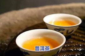 大一茶普洱茶-dayi普洱茶