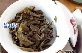 大益普洱茶孔雀系列：图片欣赏与评测