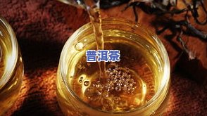 普洱茶7266，探索普洱茶的奥秘：7266的独特风味与健康益处