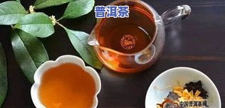 普洱茶和陈皮怎么冲泡好喝-普洱茶和陈皮怎么冲泡好喝呢