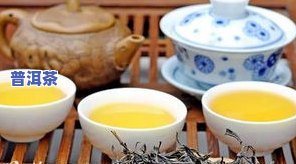 熟普洱茶用多少度水泡最适宜？