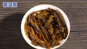 普洱茶中的大白菜：含义解析