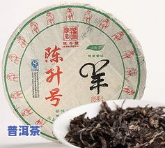 南桥一号普洱茶饼：价格、品质全解析