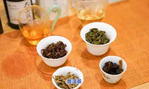 兴益茶厂老班章，探寻云南茶马古道上的瑰宝：兴益茶厂老班章