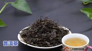 普洱茶分为哪三种类型？详解其分类标准与特点