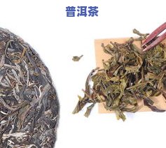 普洱茶制作技艺，探寻传统魅力：揭秘普洱茶制作技艺