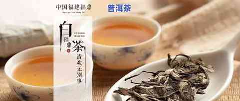 5861茶叶价格，茶叶爱好者必看！最新5861茶叶价格一览