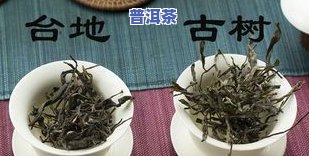 喝古树普洱茶身体发热-喝古树普洱茶身体发热怎么回事