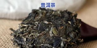 普洱茶鲜叶标本制作视频-普洱茶鲜叶标本制作视频教程