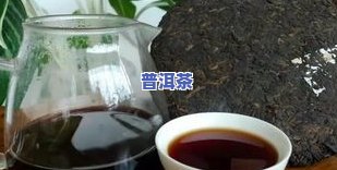 乔木七子饼普洱茶介绍-乔木七子饼普洱茶价格特查