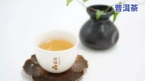 冰岛古树茶的口感，探索冰岛古树茶的独特口感：一场味觉盛宴