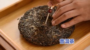 普洱茶茶针的作用与采用方法全解析