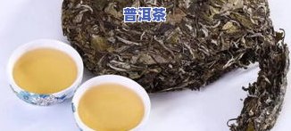 老白茶排行榜前十名汇总：揭秘好的秘密