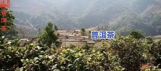 十大普洱茶寨全揭秘：你不可错过的茶香之地