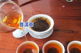 喝普洱茶的禁忌是什么-喝普洱茶的禁忌是什么呢