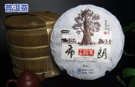 普洱茶饼为何称为七子饼？