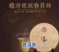 瑞聘号勐海秋香：普洱茶价格与详细介绍