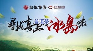 老寨冰岛茶价格，探索老寨冰岛茶的价格走势与市场行情