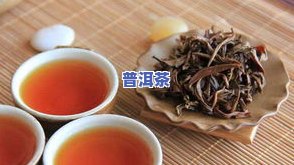 喝普洱茶能让人兴奋吗？原因解析