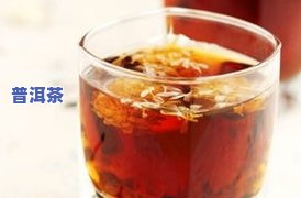 菊普茶即在普洱茶中加入什么，探究菊普茶：普洱茶中的独特添加物是什么？