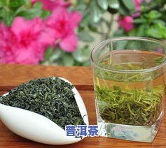 崂山绿茶和普洱茶谁好些，崂山绿茶与普洱茶：哪个更好？