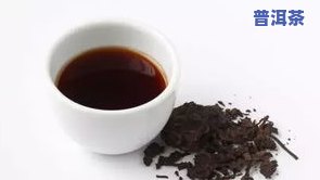 普洱茶支架存茶价格全揭秘：一斤、一盒价多少？