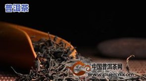 古树红茶多少钱一斤啊，熟悉古树红茶的价格，一斤要多少？