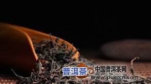 古树红茶多少钱一斤价格，揭秘古树红茶的价格：一斤要多少钱？