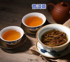 普洱一叶一芽多少钱一斤，普洱茶一叶一芽价格：多少元/斤？