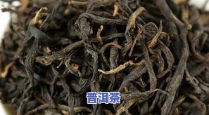 古树红茶多少钱一斤-815古树茶