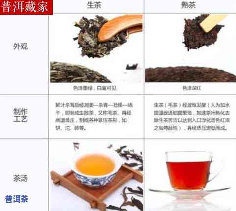 浙江普洱茶生茶怎么存放，怎样妥善保存浙江普洱茶生茶？从环境、湿度到包装，全方位指南