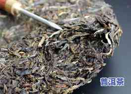 浙江普洱茶生茶怎么存放，怎样妥善保存浙江普洱茶生茶？从环境、湿度到包装，全方位指南