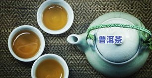 普洱茶哪种好适合减肥喝-普洱茶哪种好适合减肥喝呢