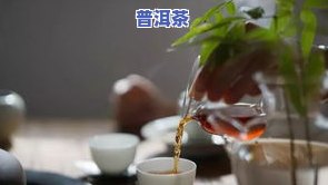 普洱茶哪种好适合减肥喝-普洱茶哪种好适合减肥喝呢