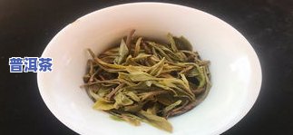 冰岛头春茶是什么茶种？详解其特点与分类