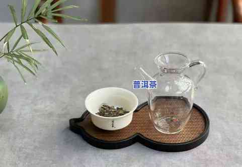 白茶是新茶好还是老茶好茶叶怎么储存，白茶：新茶与老茶的比较，以及正确的茶叶储存方法